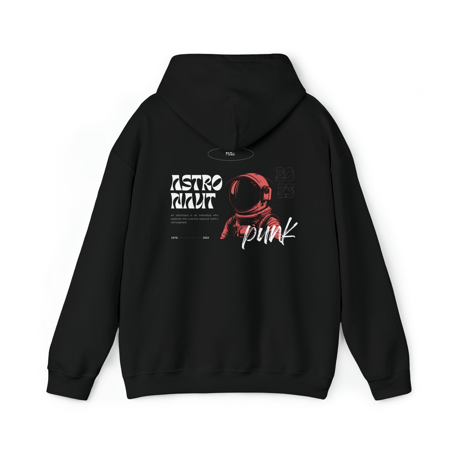Punk Astronaut